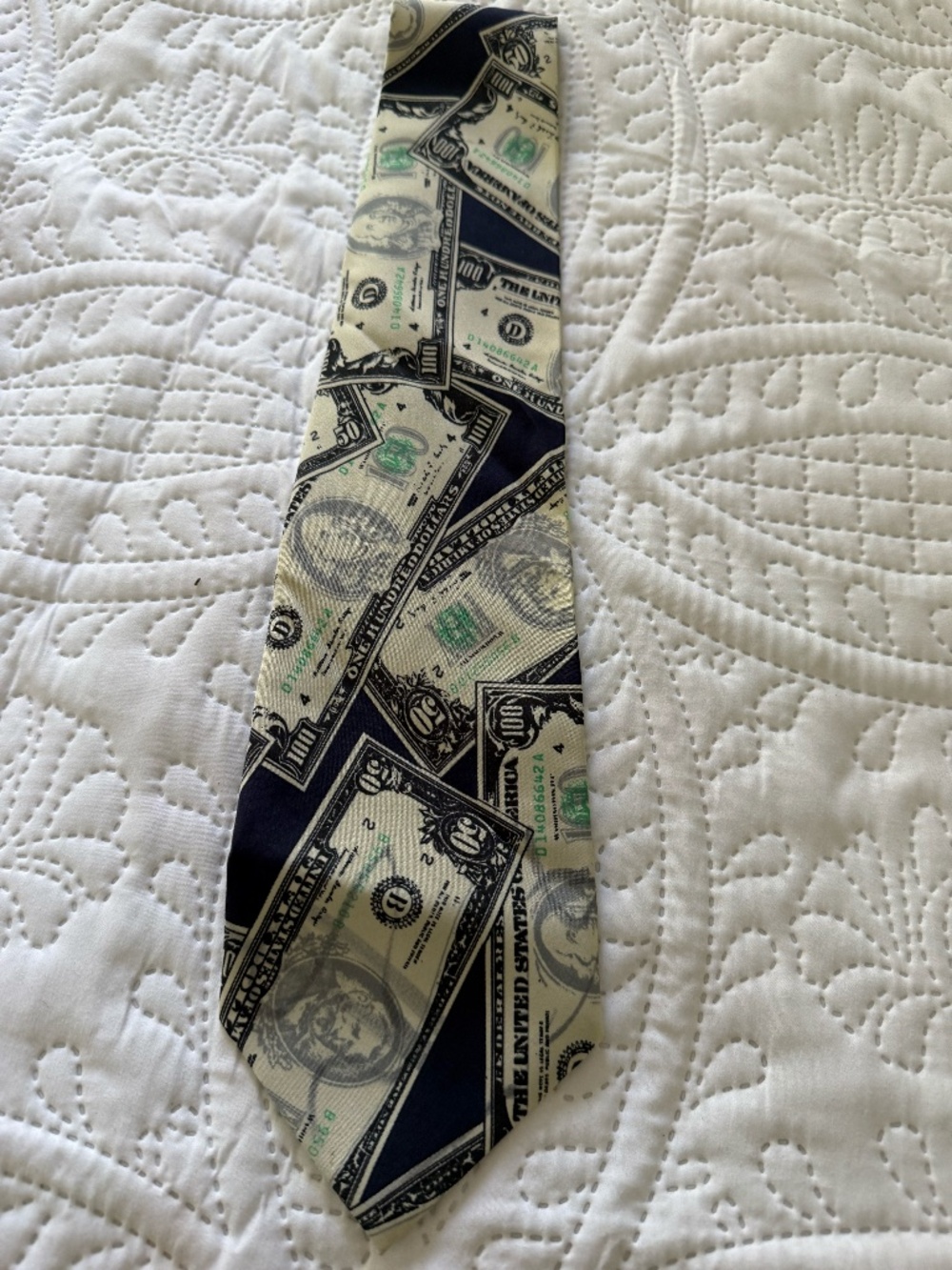 Mens Money Tie with $100 and $50